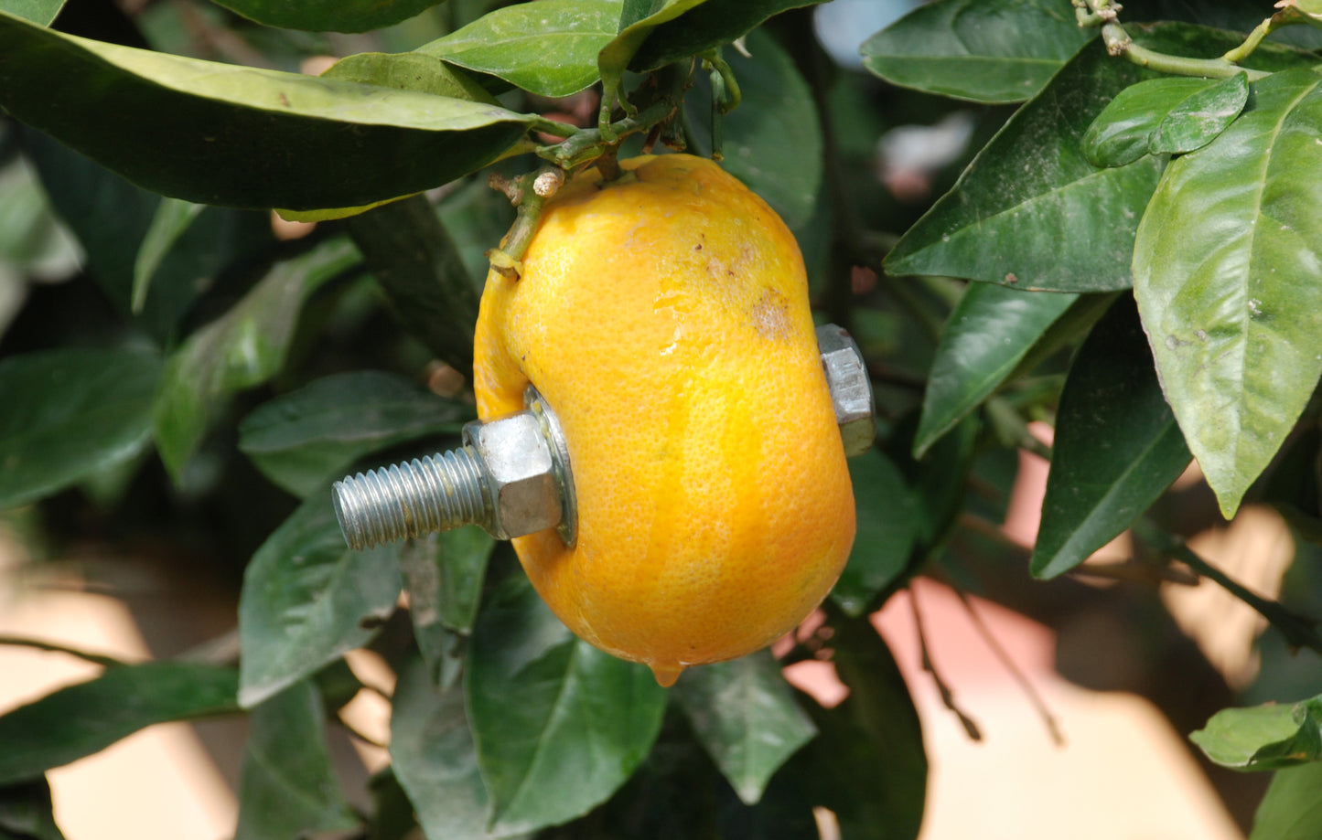 Cultural Siege - Palestinian contemporary art installation