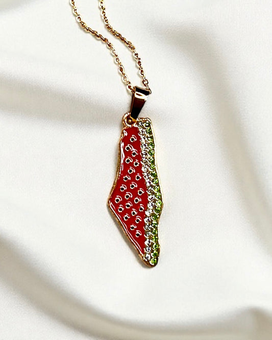 Stainless Steel Palestinian Necklaces